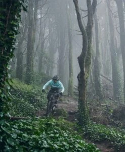 Poc Define Sunglasses Uranium Black / Brown Silver Mirror -Component Bike Gear 11824655e53b40f9bb130.84428350