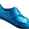 Shimano TR901 Triathlon Shoes Blue