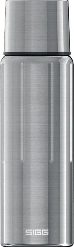 SIGG Gemstone IBT 1.1L Selenite Silver