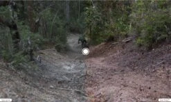 Oakley Sutro S Sunglasses Matte Black / Prizm Trail Torch / Ref. OO9462-0328 -Component Bike Gear 15298755f47700987fb54.02029838