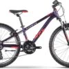 R Raymon FourRay 1.0 Semi-Rigid Kid's MTB Shimano Tourney 7S 24'' Purple 2021 8 - 12 Years