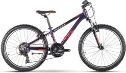 R Raymon FourRay 1.0 Semi-Rigid Kid's MTB Shimano Tourney 7S 24'' Purple 2021 8 - 12 Years