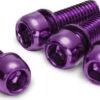 Reverse Disc Rotor Bolt Steel Purple