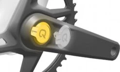 Sram Powermeter Rival AXS Crank Arm Bolt 5 Sram Powermeter Rival AXS Crank Arm Bolt -Component Bike Gear 189664860e41aea26e4c4.01367967