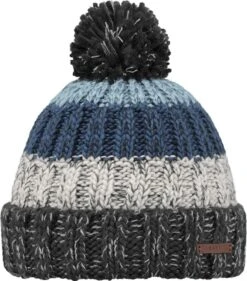 Barts Wilhelm Gray Beanie