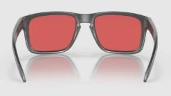 Oakley Sunglasses Holbrook Steel / Prizm Snow / Ref.OO9102-U555 -Component Bike Gear 2138786615d97b7033b10.36121666