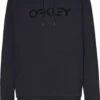 Oakley Teddy B1B PO Hoodie Black