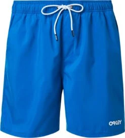 Oakley Beach Volley 18 Shorts Blue