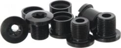 Race Face RaceFace Ring Bolts Kit Alu Torx 2x10