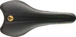 Saddle SDG Radar MTN Rails Titanium / Alu Gold