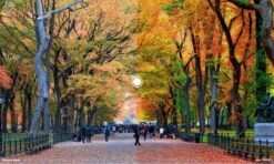 Oakley Sutro Goggles / Prizm 24K / Matte Carbon / Ref: OO9406-0537 11 Oakley Sutro Goggles / Prizm 24K / Matte Carbon / Ref: OO9406-0537 -Component Bike Gear 8397085e6a51324cfc41.23891473