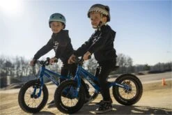 Draisienne SCAMP 12'' MiniFox Blue 17 Draisienne SCAMP 12'' MiniFox Blue -Component Bike Gear 8443665d14cc70cc0df1.18108350