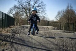 Draisienne SCAMP 12'' MiniFox Blue 18 Draisienne SCAMP 12'' MiniFox Blue -Component Bike Gear 8443665d14cc7db09244.38711755